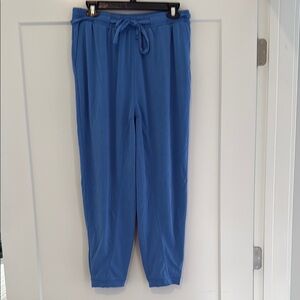 Anthropologie Blue Jogger Track Pants with Elastic Waistband